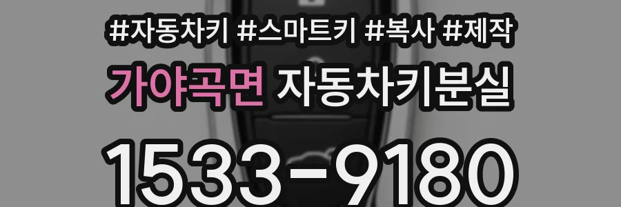 가야곡면 자동차키분실