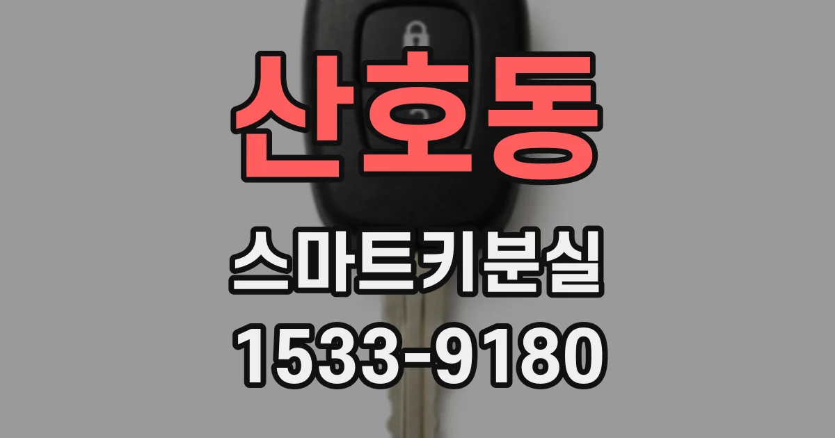 산호동 스마트키분실