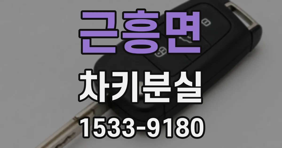 근흥면 차키분실
