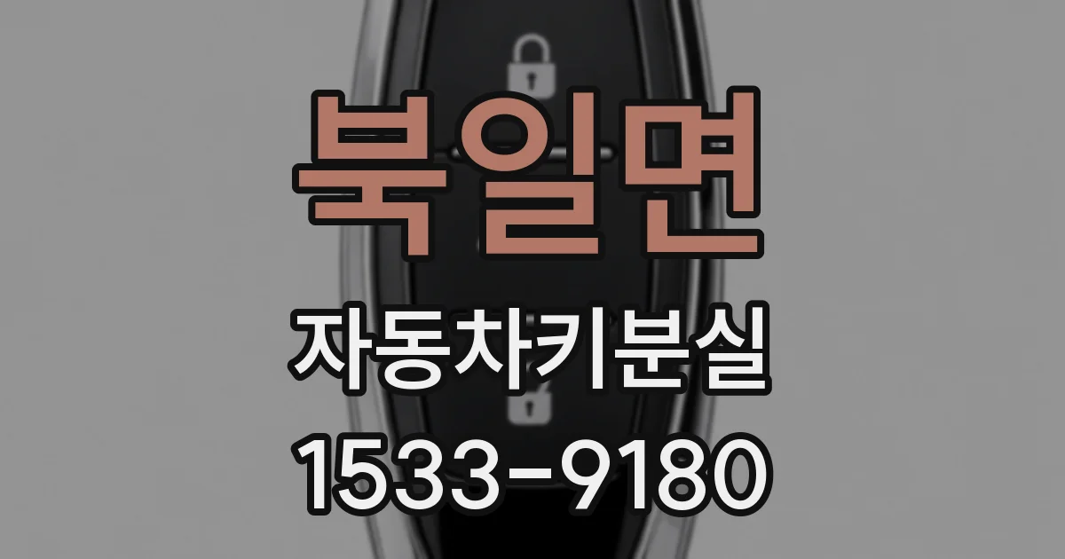 북일면 자동차키분실
