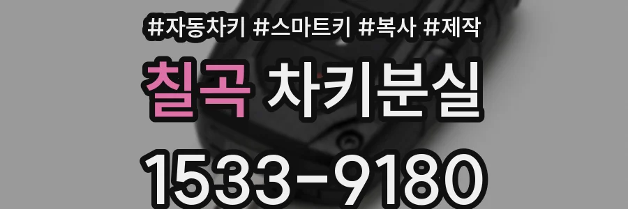 칠곡 차키분실