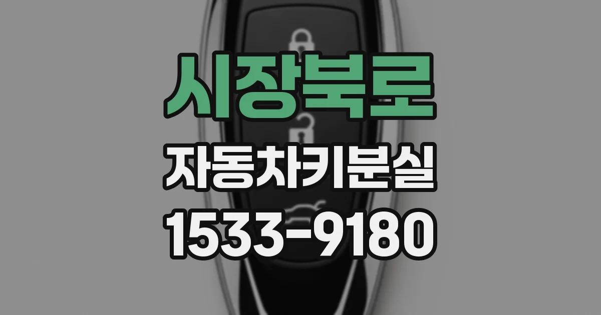 시장북로 자동차키분실