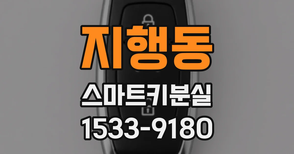 지행동 스마트키분실