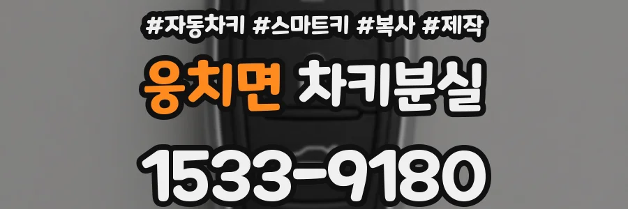 웅치면 차키분실