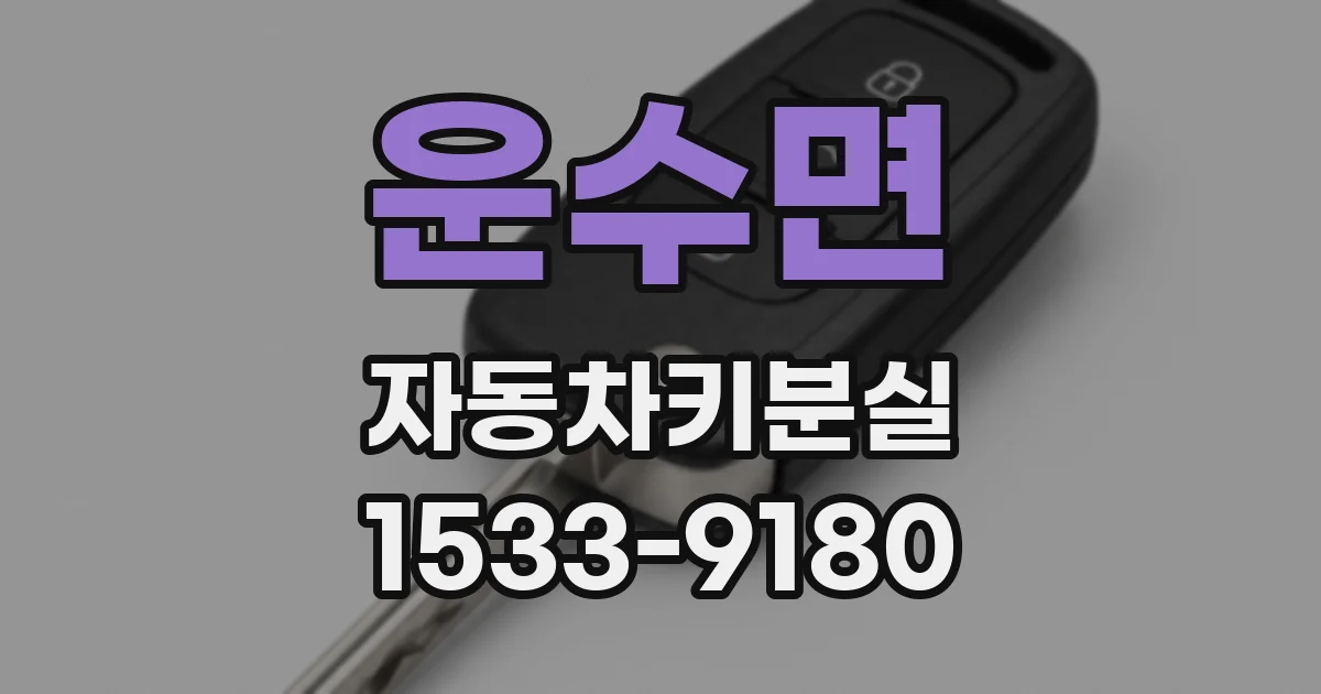 운수면 자동차키분실