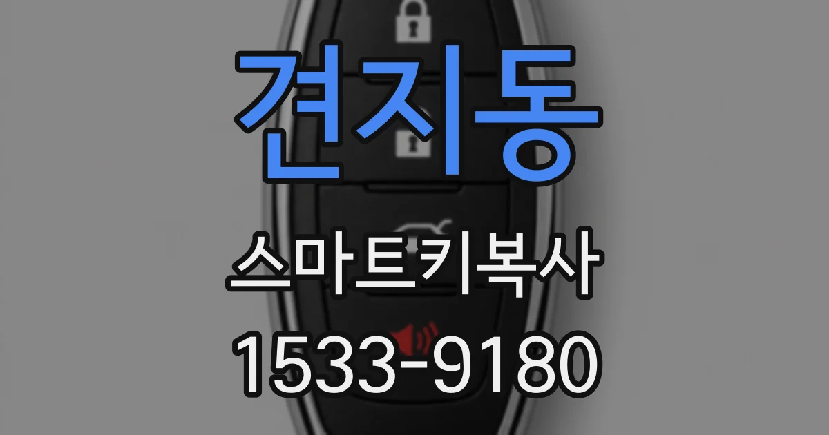 견지동 스마트키복사