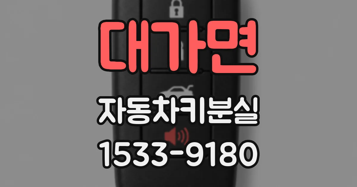 대가면 자동차키분실