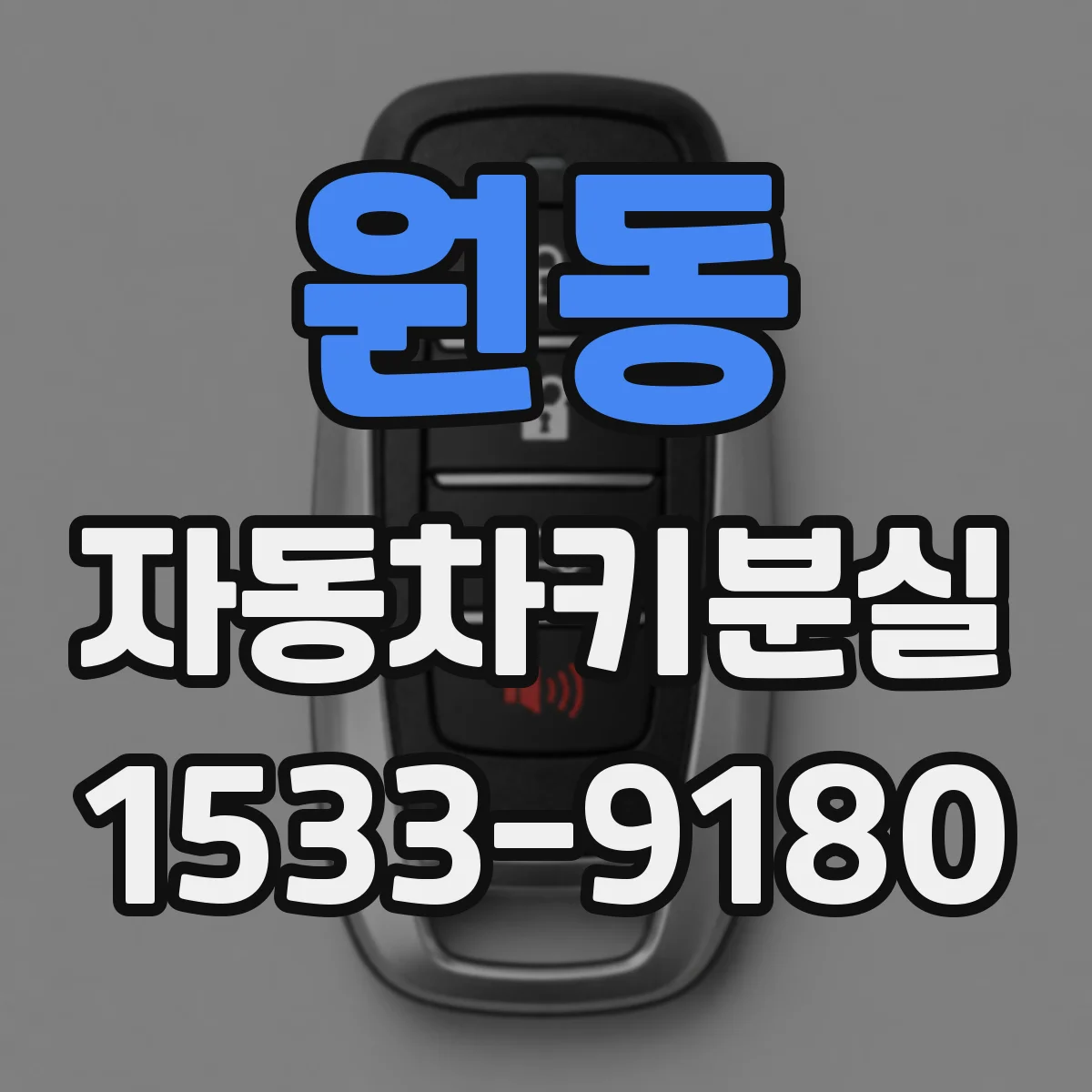 원동 자동차키분실