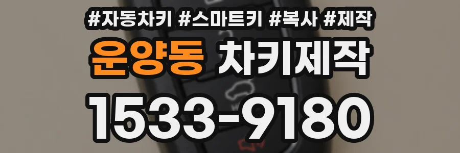 운양동 차키제작