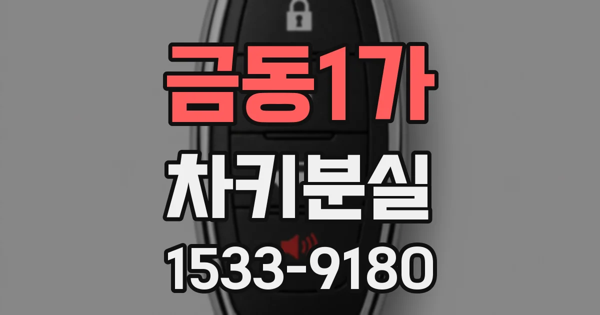 금동1가 차키분실