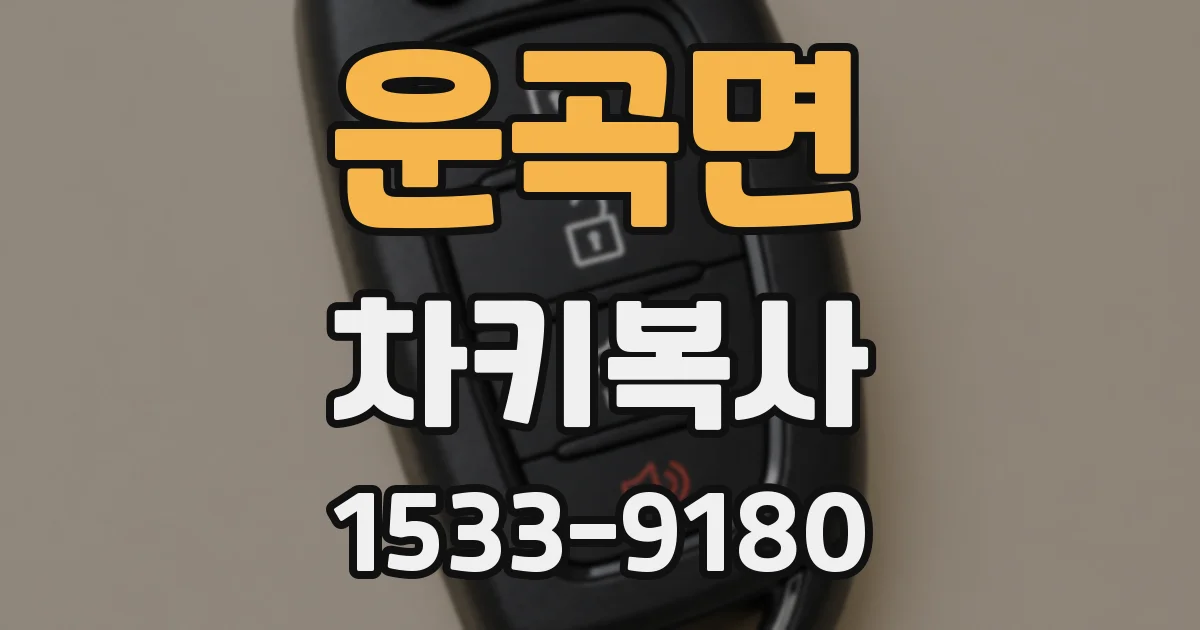 운곡면 차키복사