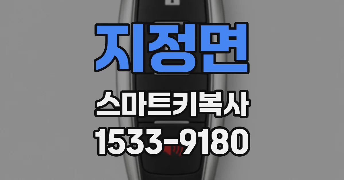 지정면 스마트키복사
