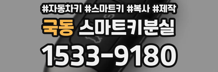 국동 스마트키분실
