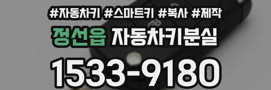 정선읍 자동차키분실