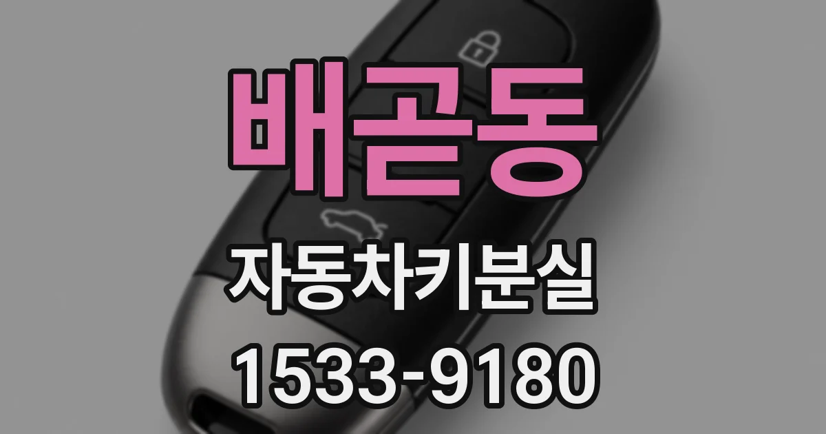 배곧동 자동차키분실
