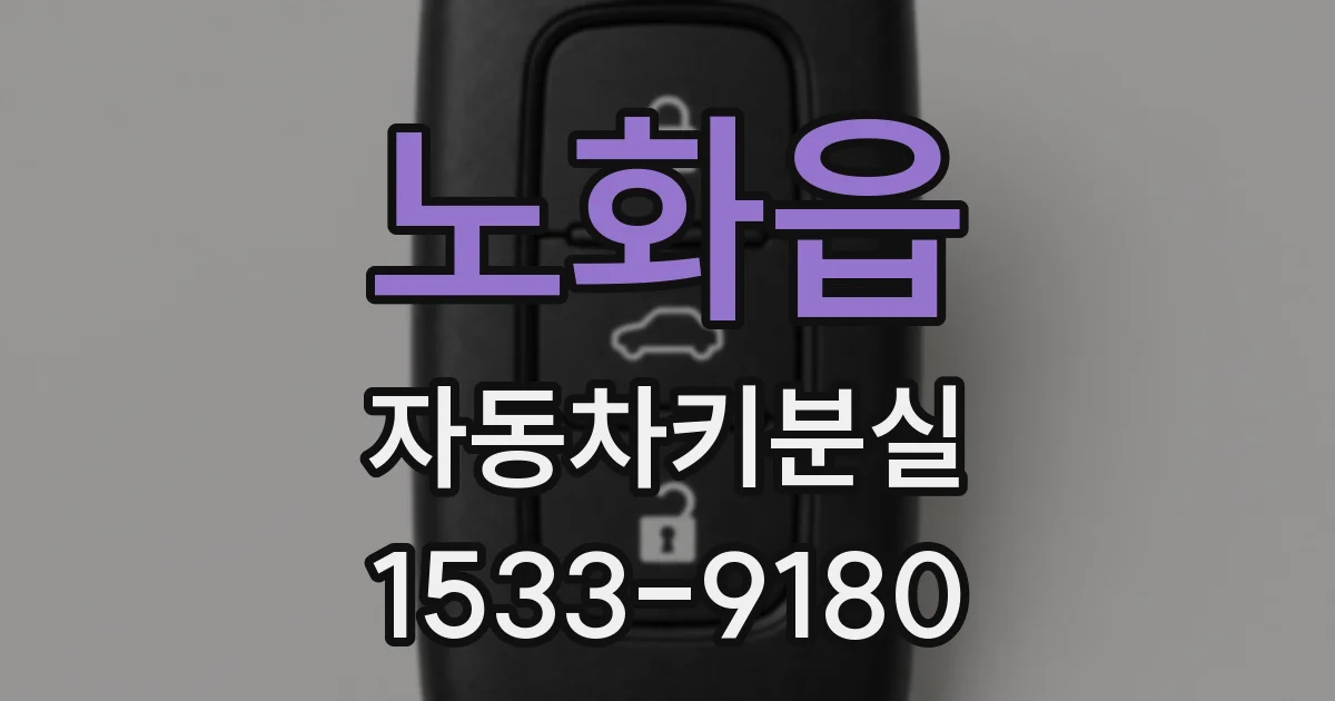 노화읍 자동차키분실