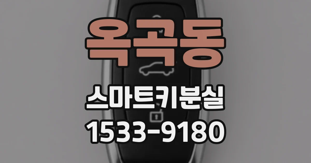 옥곡동 스마트키분실