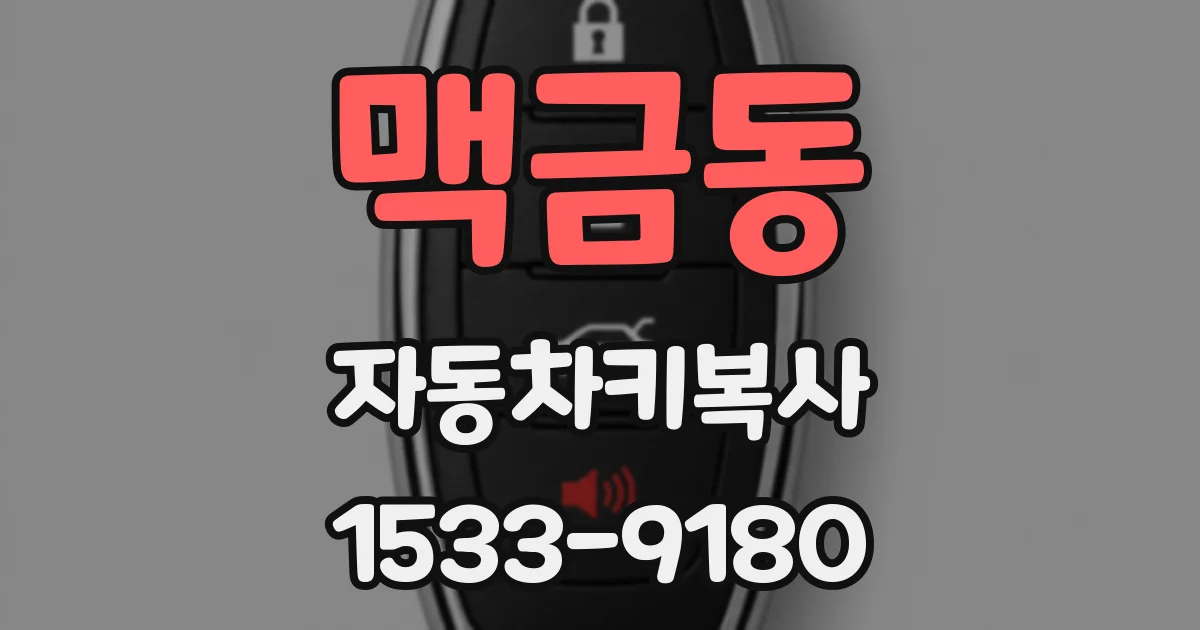 맥금동 자동차키복사