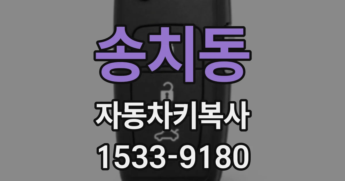 송치동 자동차키복사