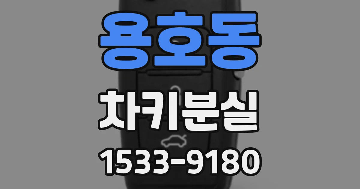 용호동 차키분실
