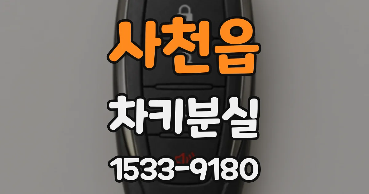 사천읍 차키분실