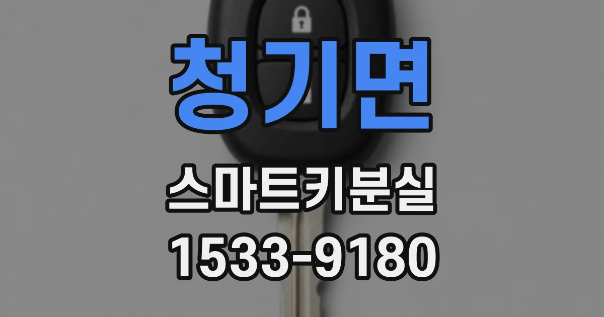 청기면 스마트키분실