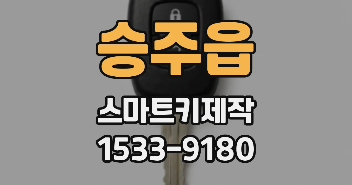 승주읍 스마트키제작