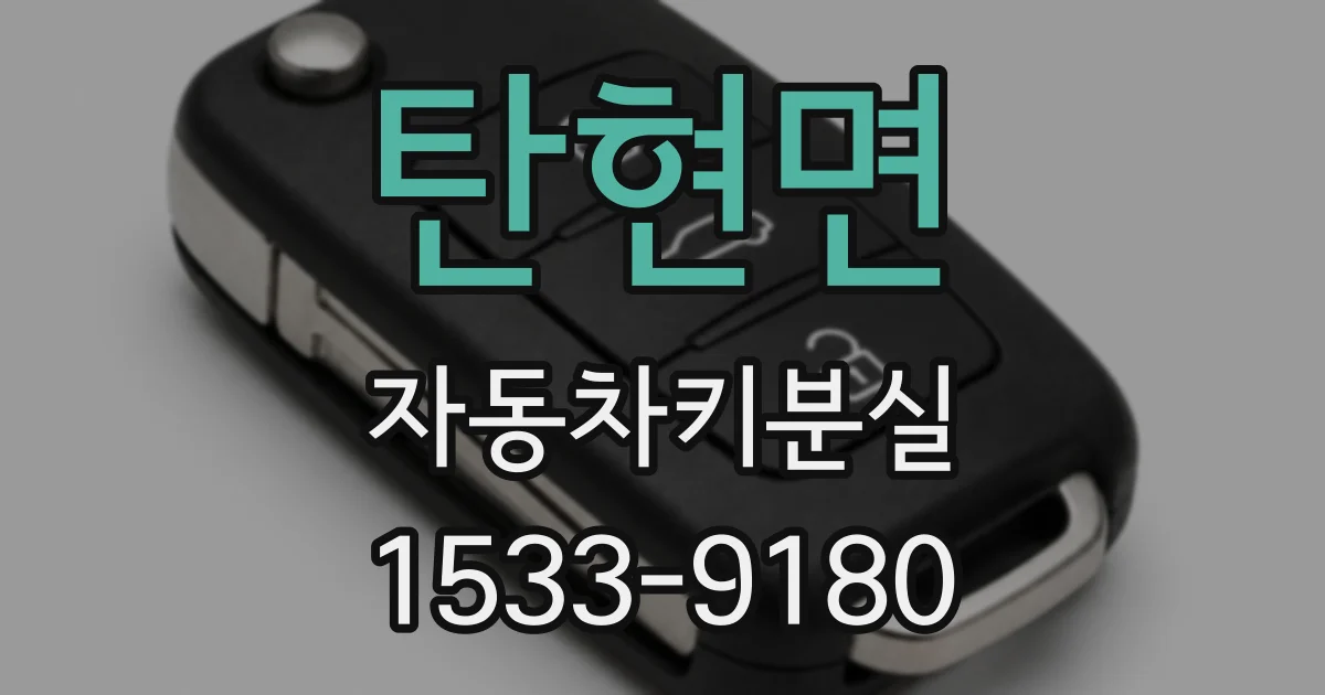 탄현면 자동차키분실