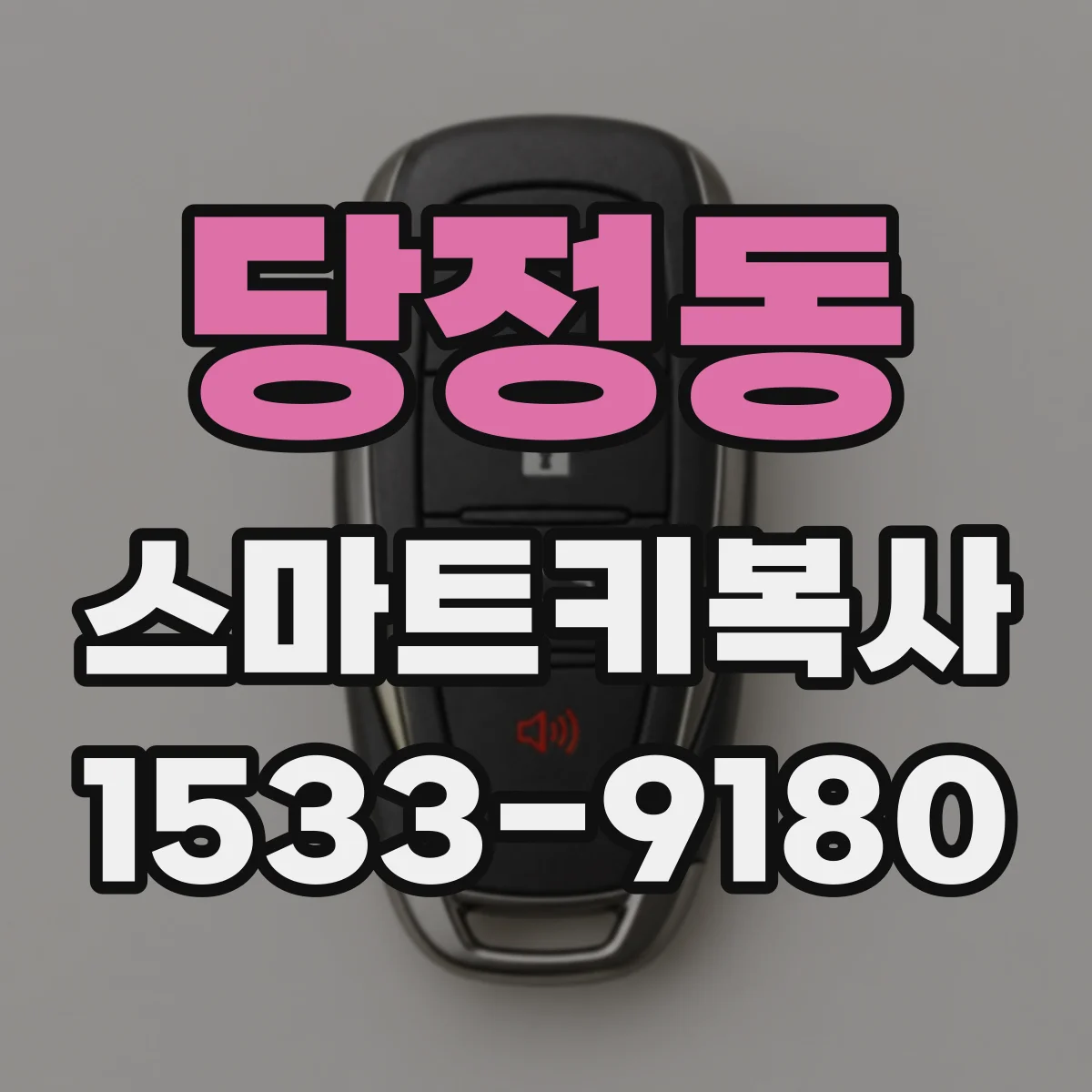 당정동 스마트키복사
