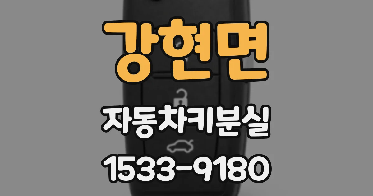 강현면 자동차키분실