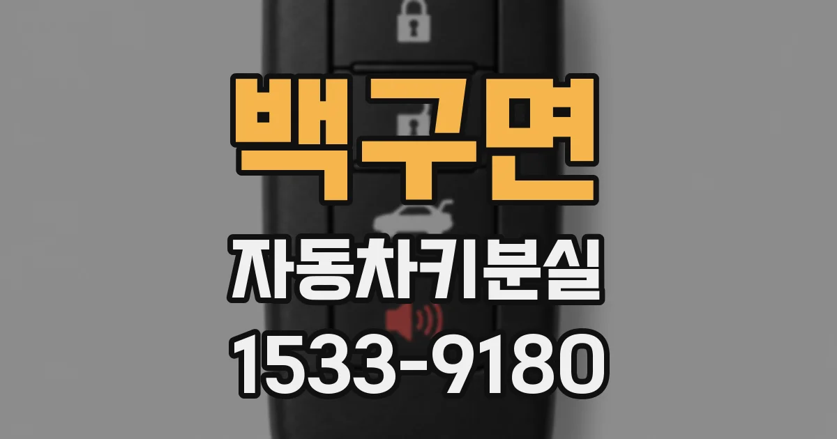 백구면 자동차키분실