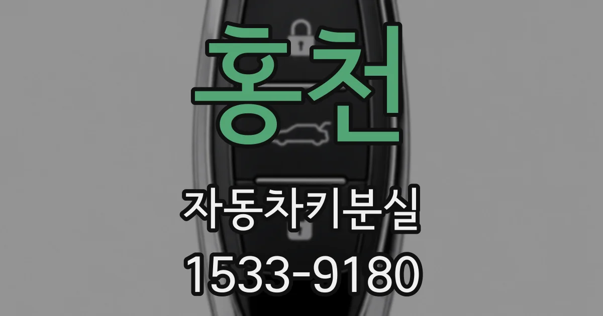 홍천 자동차키분실