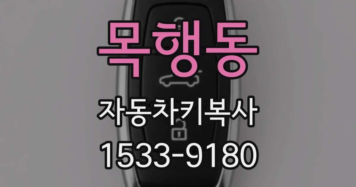 목행동 자동차키복사