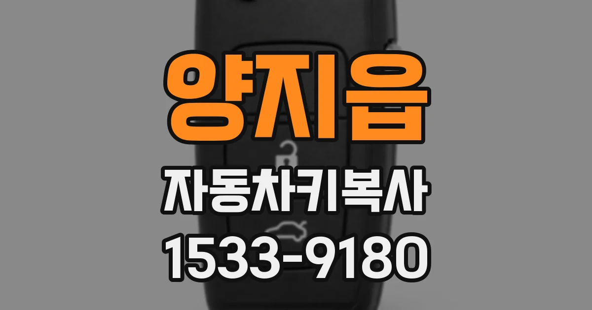 양지읍 자동차키복사