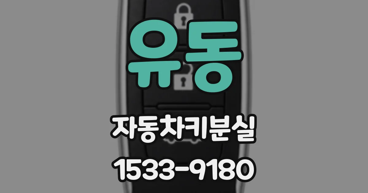 유동 자동차키분실