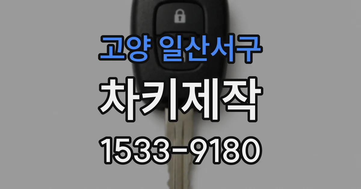 고양 일산서구 차키제작