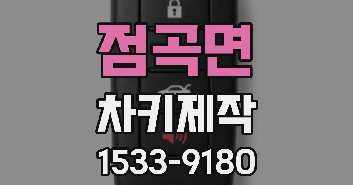 점곡면 차키제작