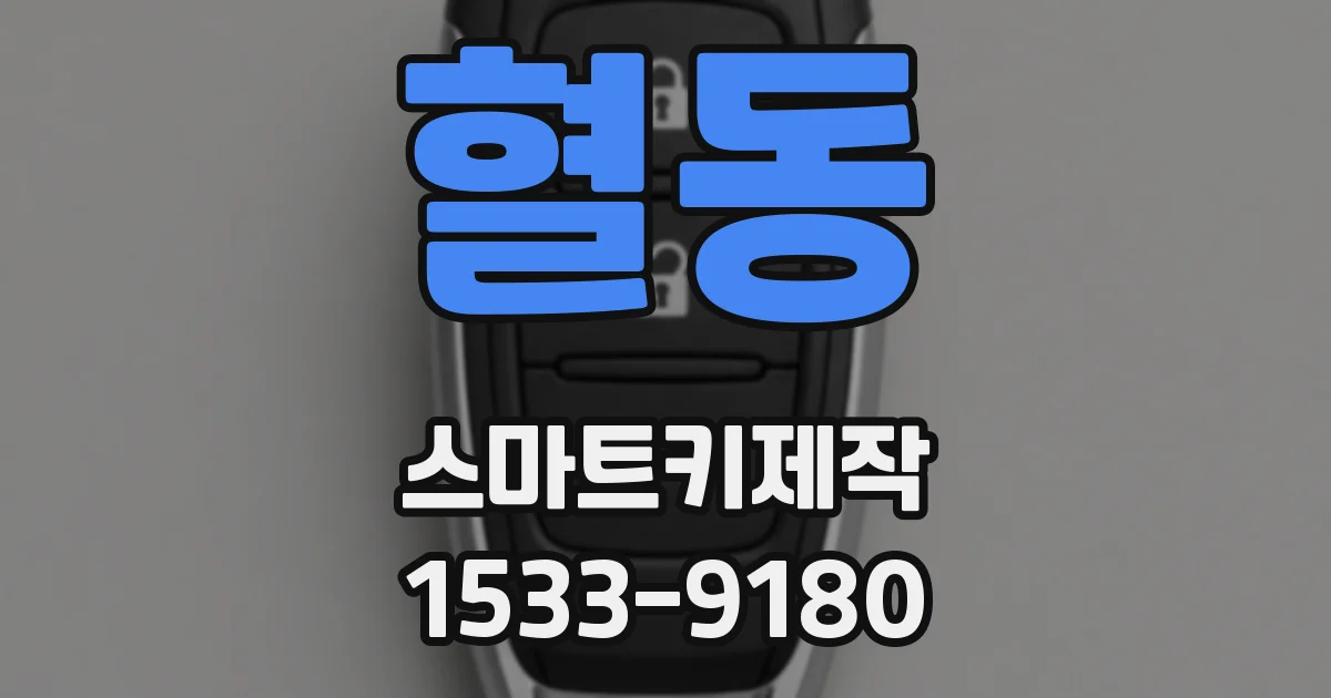 혈동 스마트키제작