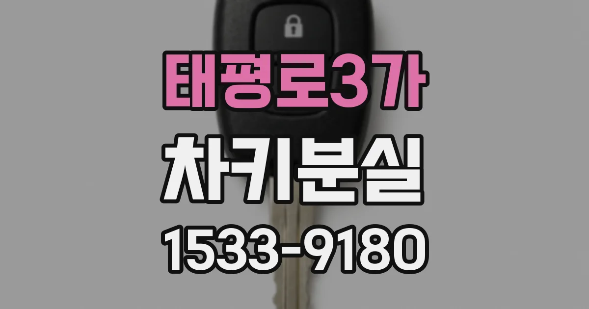 태평로3가 차키분실