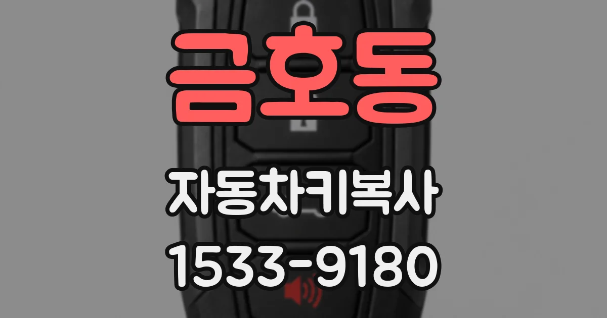 금호동 자동차키복사