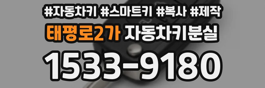 태평로2가 자동차키분실
