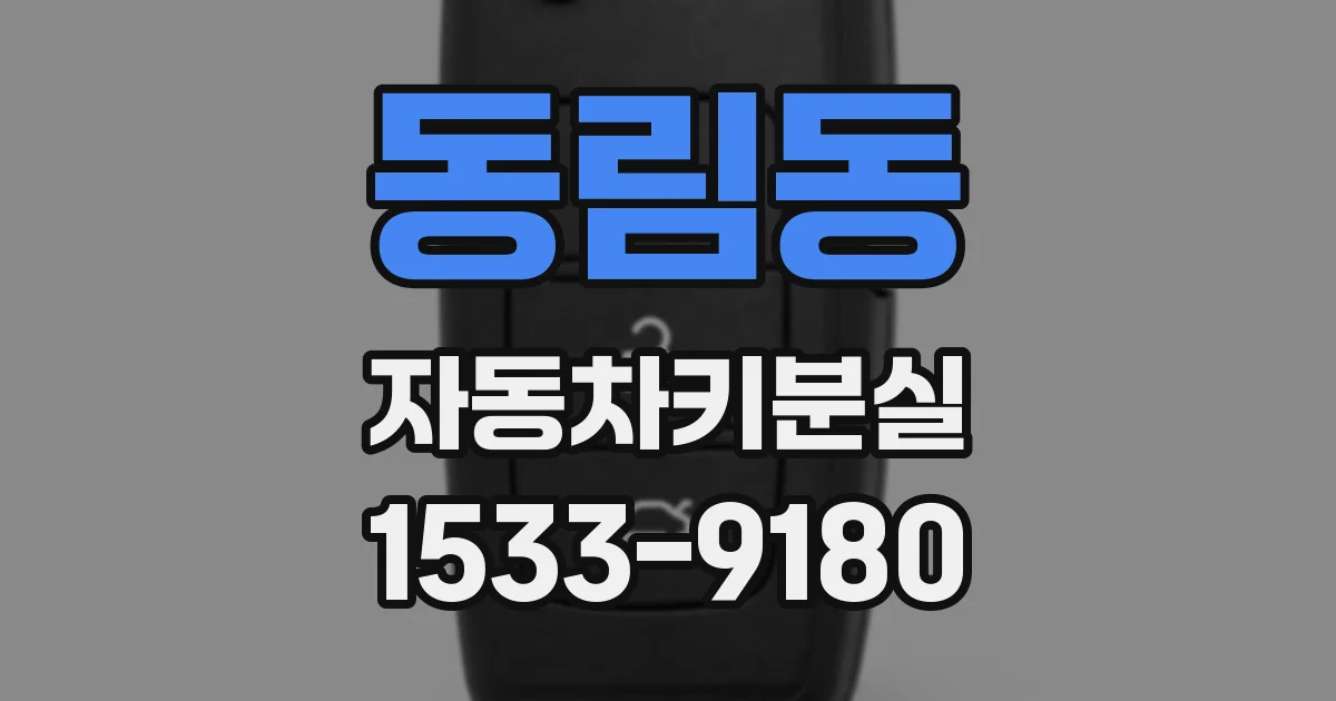 동림동 자동차키분실
