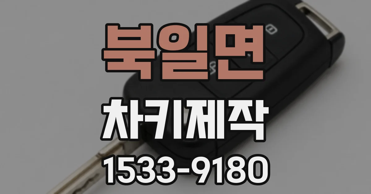 북일면 차키제작