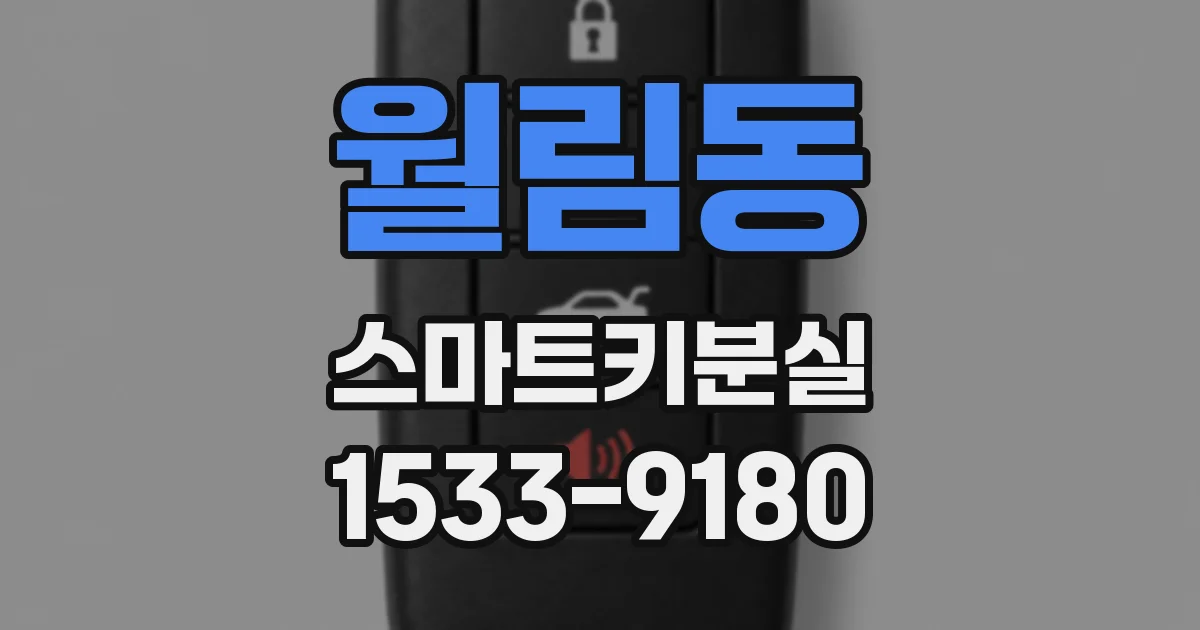 월림동 스마트키분실