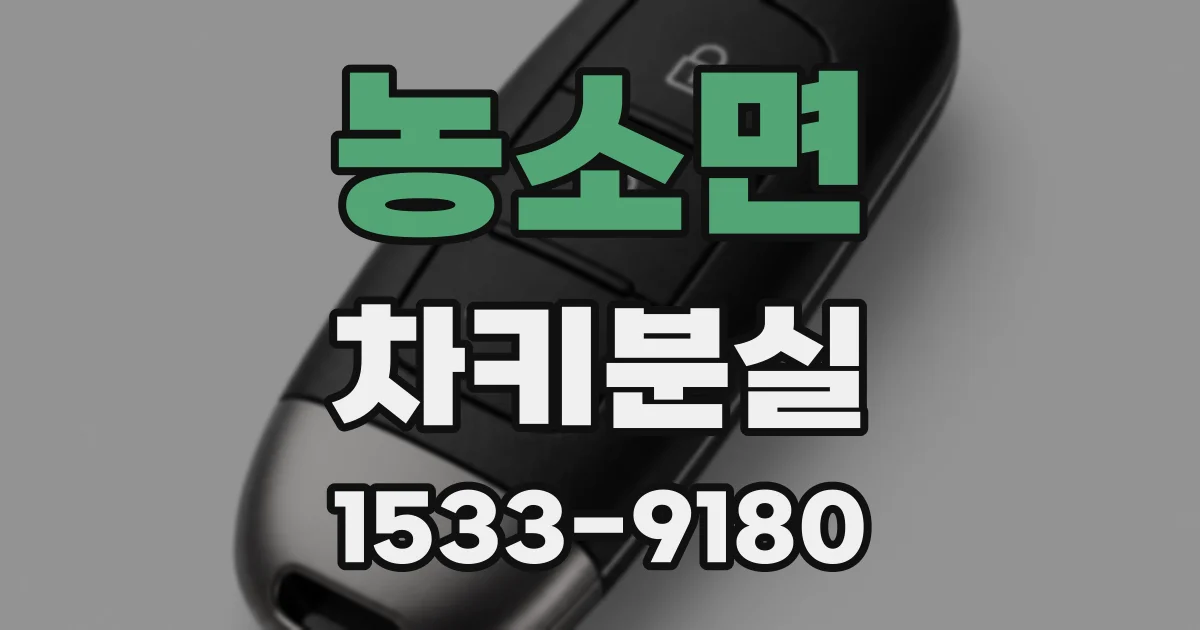 농소면 차키분실