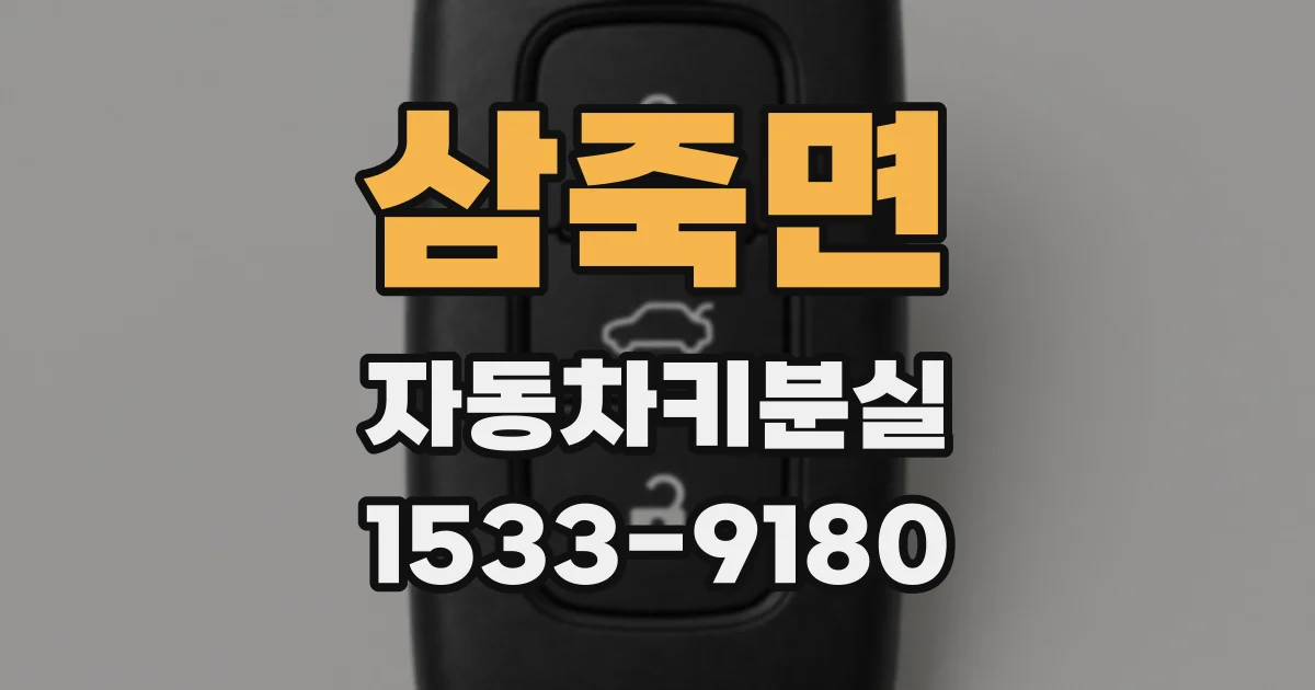 삼죽면 자동차키분실