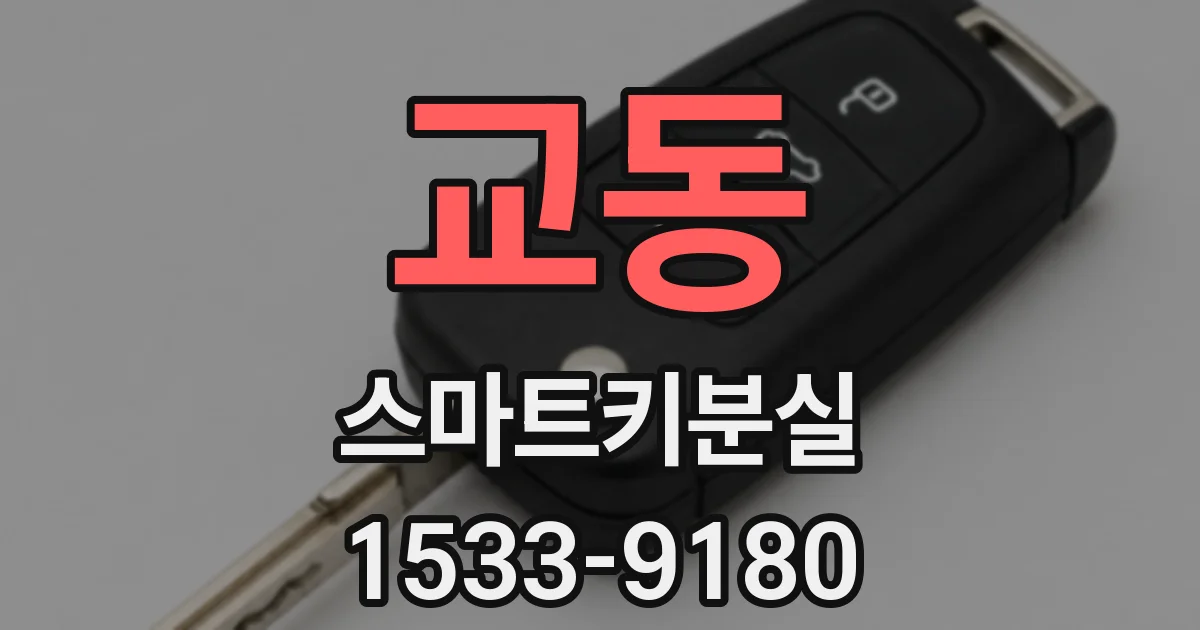 교동 스마트키분실
