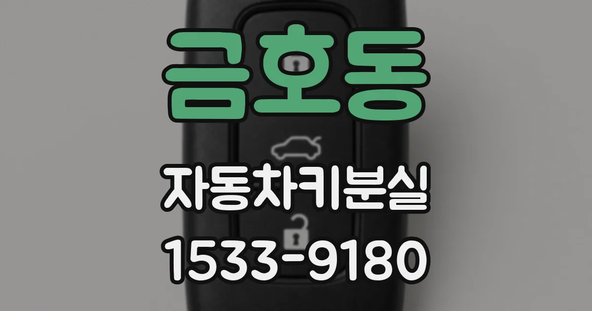 금호동 자동차키분실