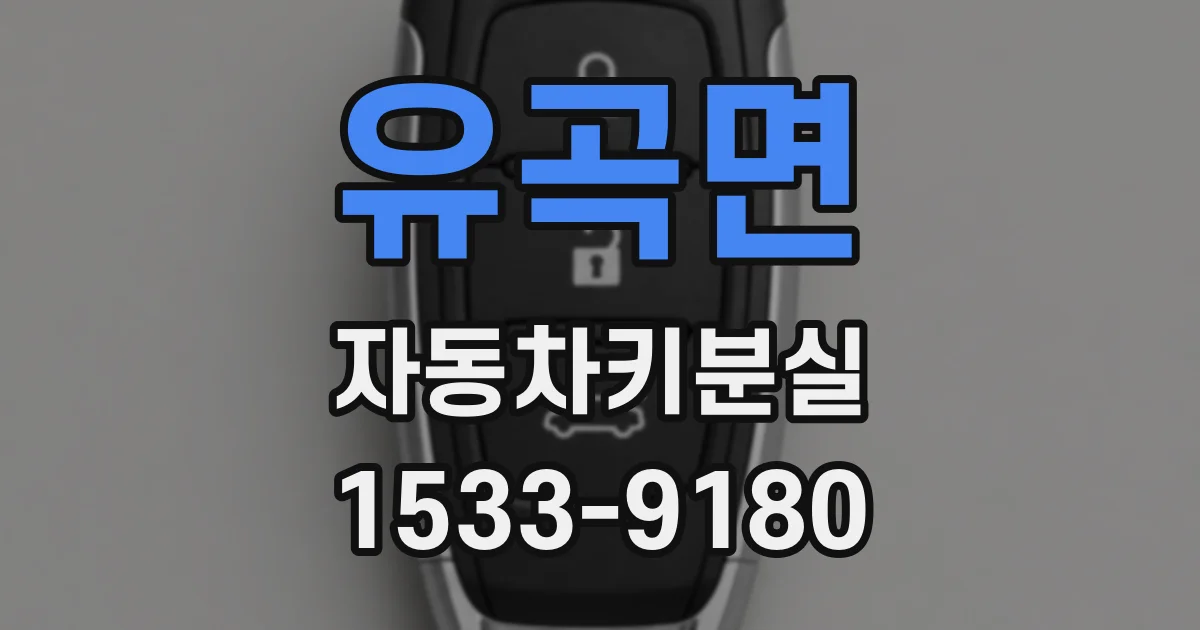 유곡면 자동차키분실