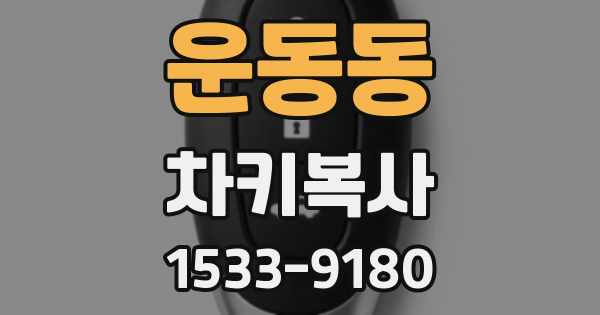 운동동 차키복사